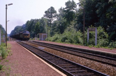 Jamoigne - TH 84-9824.jpg